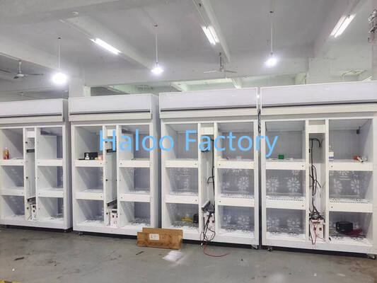 Haloo Vending Machine SupplierBig Size 6 Locker Vending Machine 10.1inch Touch Screen Choose Flowers on the Machine