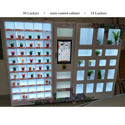 CE Certificate Non Refrigerated Locker Vending Machines For Beauty Product